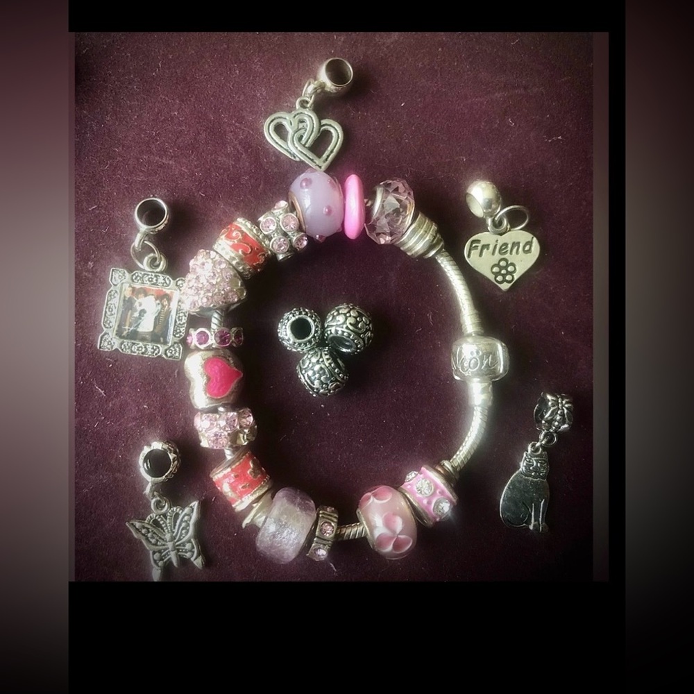 Vintage Charm Bracelet Snake Chain Silver Tone with Extra Charms  9 pc. Bundle